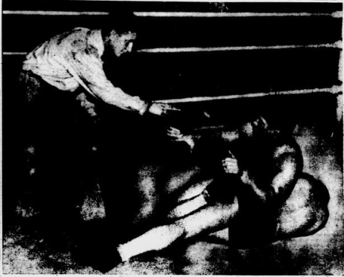 “Oh No, Mr. Referee, You Can’t Tell Me What to Do,” Says Mr. Dusek Shortly before his title match with champion, Danno O’Mahoney, was stopped when a flock of policemen jumped into the ring, Challenger Ernie Dusek got plenty rough, or so referee Dickerhoff though.  Dusek was duly warned of this but Mr. Dusek didn’t care to be warned about it, and so told Mr. Dickerhoff while applying a toe hold on the disinterested O’Mahoney.  The above shows the argument in full bloom, with no sound effect.  The wrestlers’ purses were held up by the boxing commission.